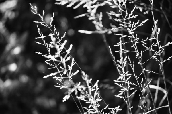 Фотовиставка Вікторії Величко